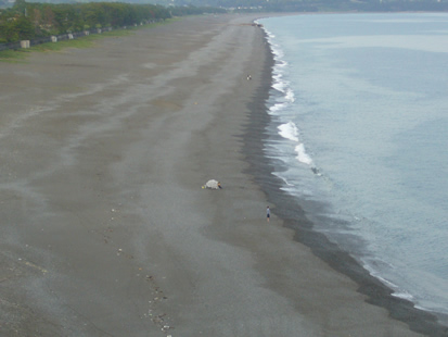 f0067354_2125856.jpg