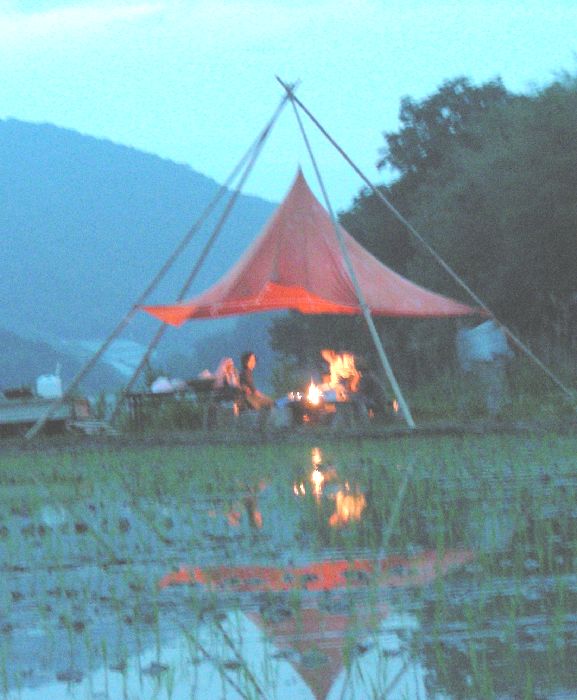 d0003756_8585825.jpg