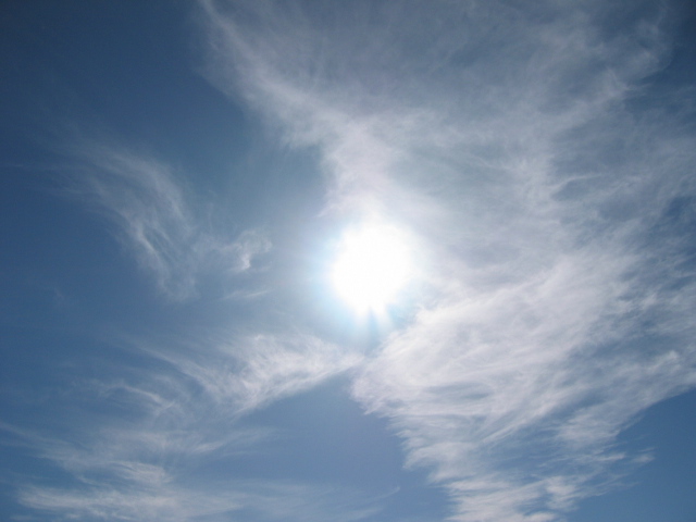 f0051256_662217.jpg