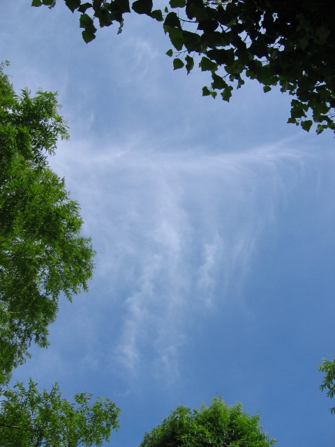 f0051256_68032.jpg