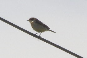 b0086858_15464070.jpg