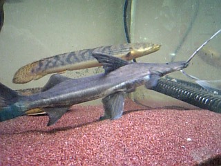f0009758_10174991.jpg