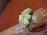 c0084760_2394826.jpg