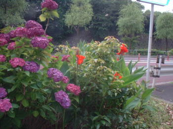 a0085663_23565457.jpg