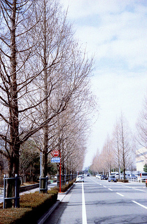 c0083364_23122237.jpg