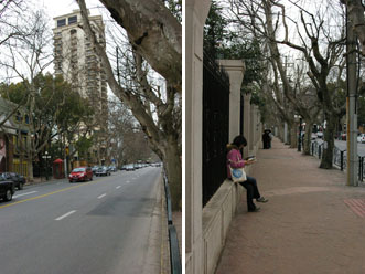 d0064366_22682.jpg