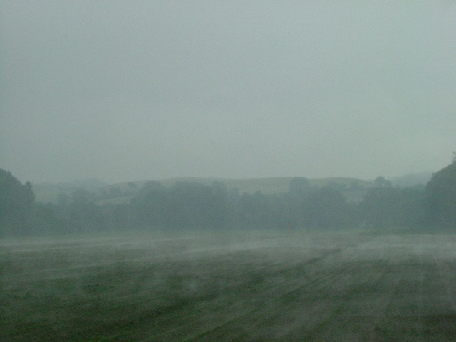 e0078071_1541189.jpg