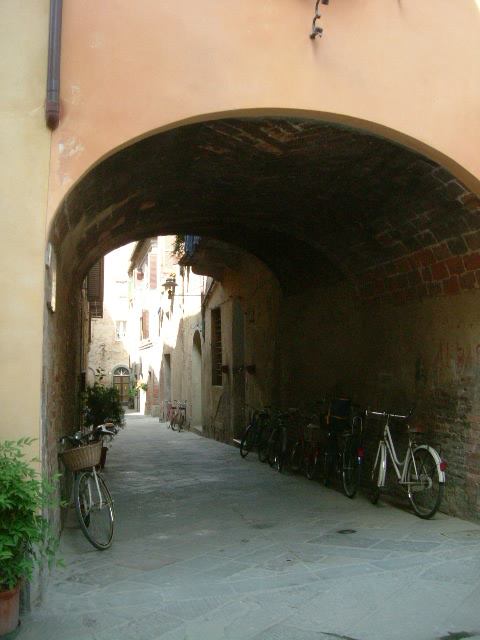 e0078071_15544121.jpg