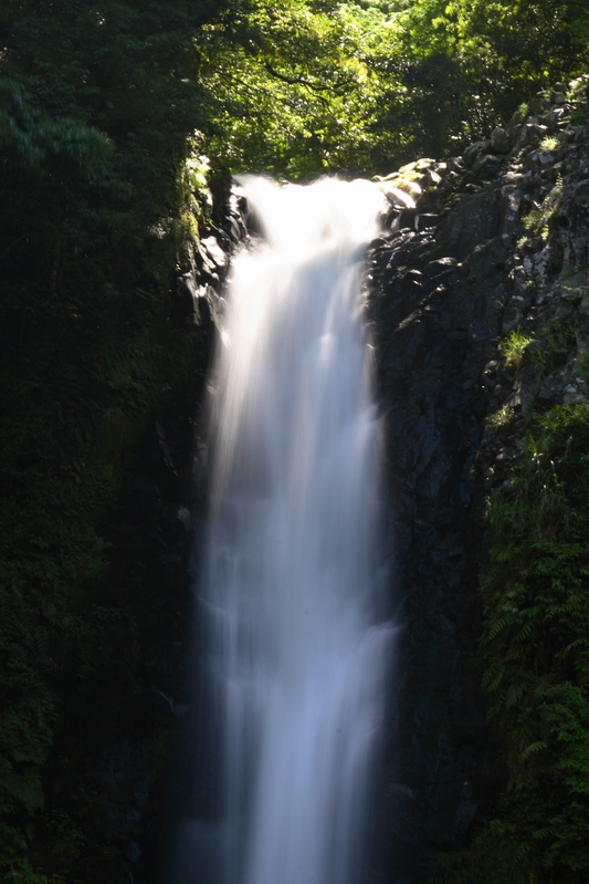 f0105478_15552930.jpg