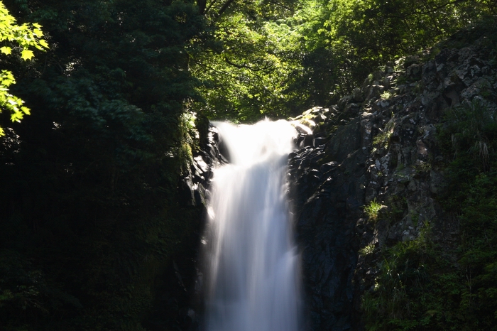 f0105478_15591825.jpg
