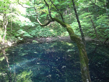 f0116278_04571.jpg