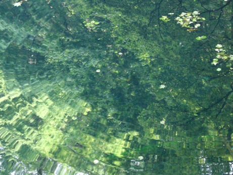 f0116278_095271.jpg