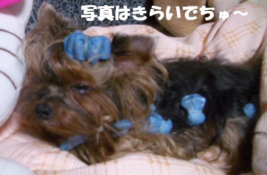 c0031582_18343510.jpg