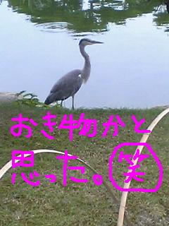 e0086589_20144033.jpg