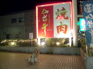 c0096393_1831232.jpg