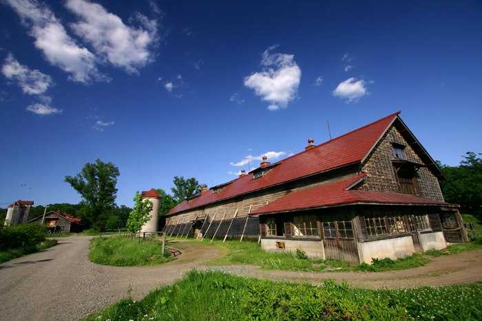 b0072697_20375224.jpg