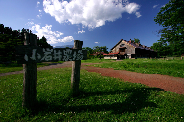 b0072697_2037633.jpg
