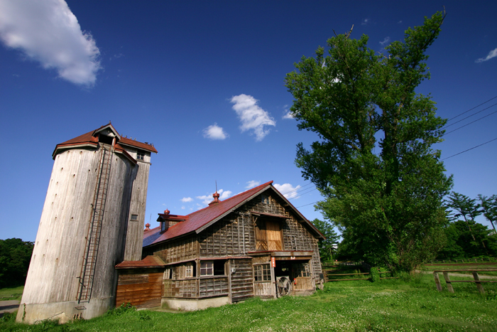 b0072697_2044377.jpg