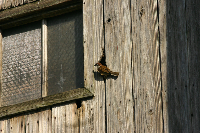 b0072697_20525318.jpg