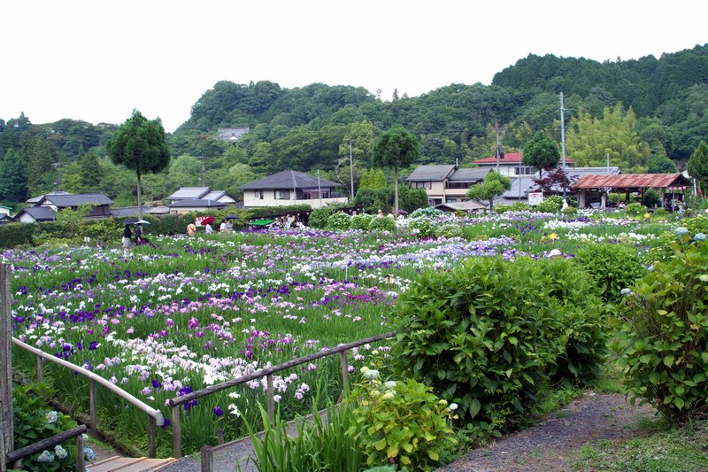c0043403_23211738.jpg