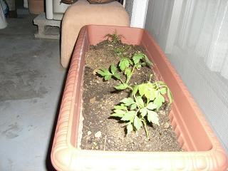 e0119003_23133619.jpg