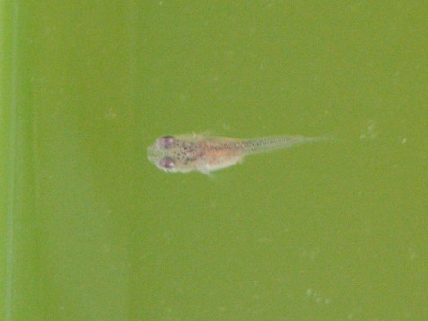 f0137616_1971450.jpg