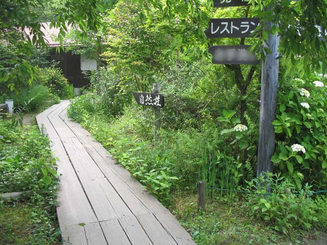 d0080118_14331520.jpg