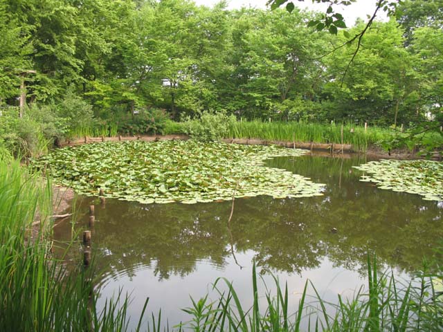 d0080118_14451133.jpg