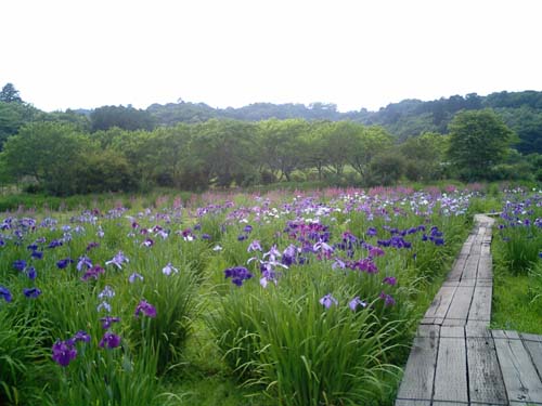 d0080118_14505115.jpg