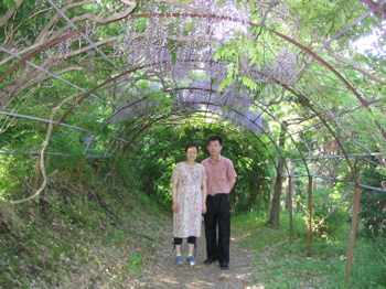 e0111220_1591349.jpg