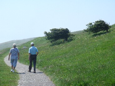 e0114020_65250100.jpg