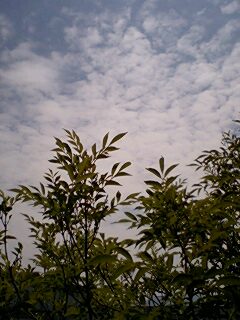 d0066024_21162516.jpg