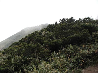 a0049226_23103796.jpg