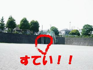 b0085331_133098.jpg