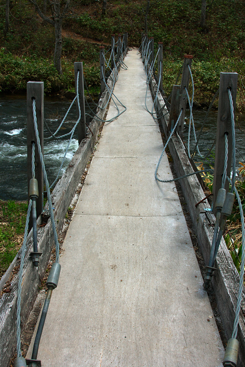 c0014035_12255567.jpg