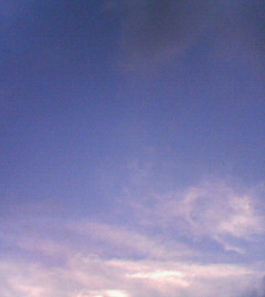 c0118536_2139927.jpg