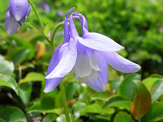 f0003138_13215589.jpg