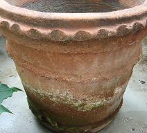 e0057640_18391828.jpg
