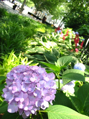 a0087045_9512746.jpg