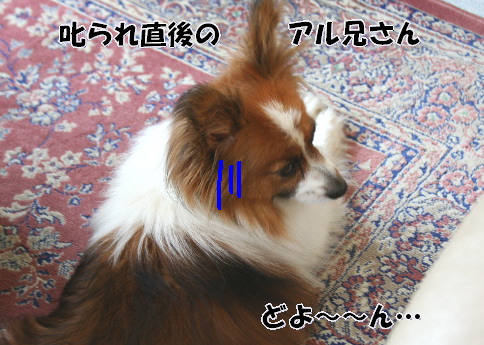 d0013149_0204794.jpg