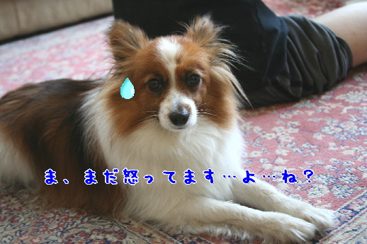d0013149_0224958.jpg