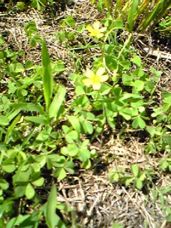e0047949_2231719.jpg