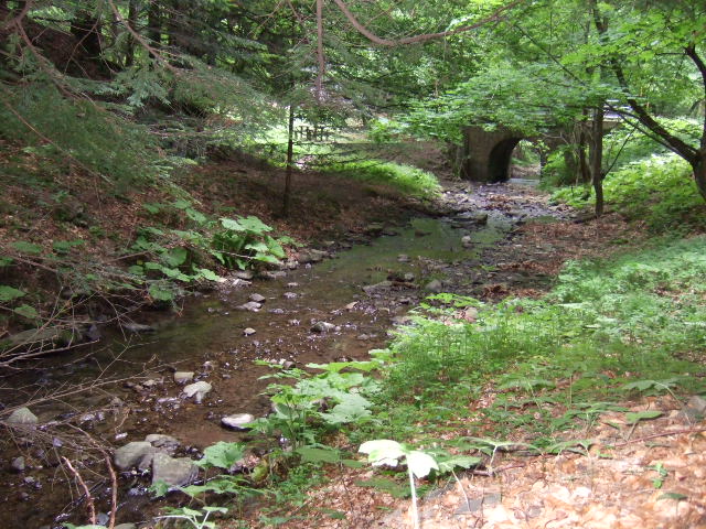 e0104154_8231087.jpg