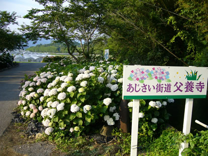 f0067354_23142872.jpg