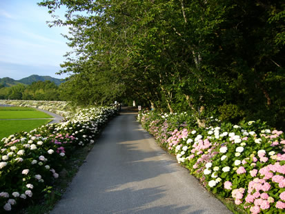 f0067354_23161141.jpg