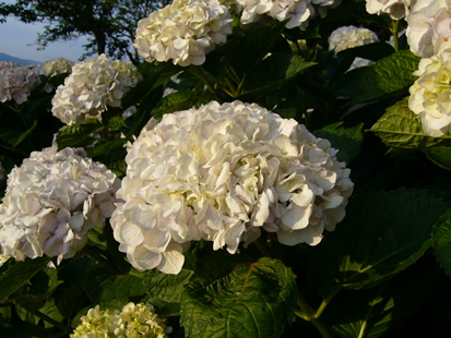 f0067354_23174556.jpg