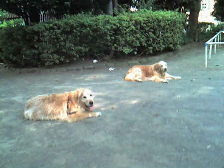f0100660_7104237.jpg