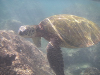 a0048361_817560.jpg