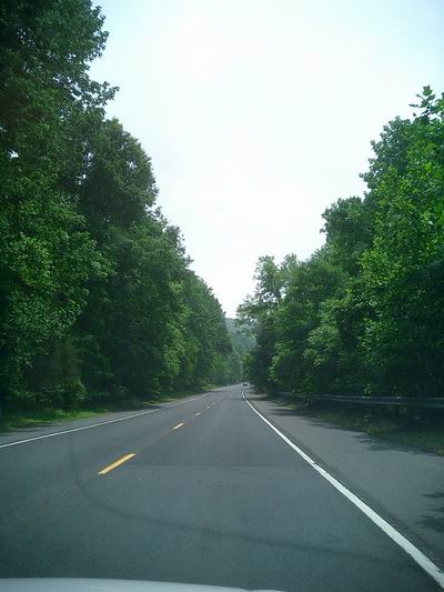 b0046462_702577.jpg