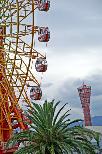 e0002371_10565465.jpg